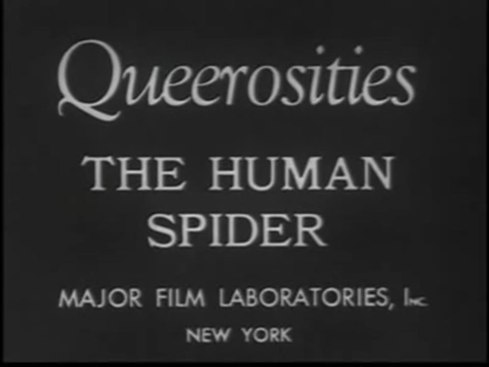 Queerosities - The Human Spider