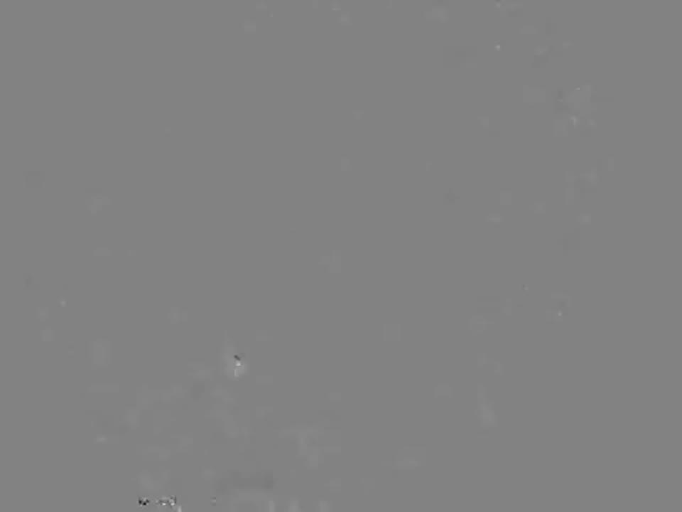 Bright Meteor Lights Up Atlanta Skies
