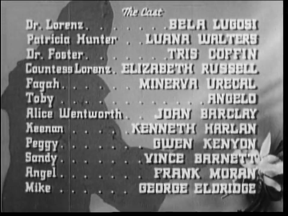 The Corpse Vanishes