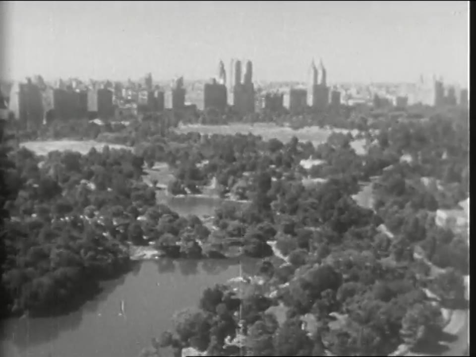 Zoo in Manhattan