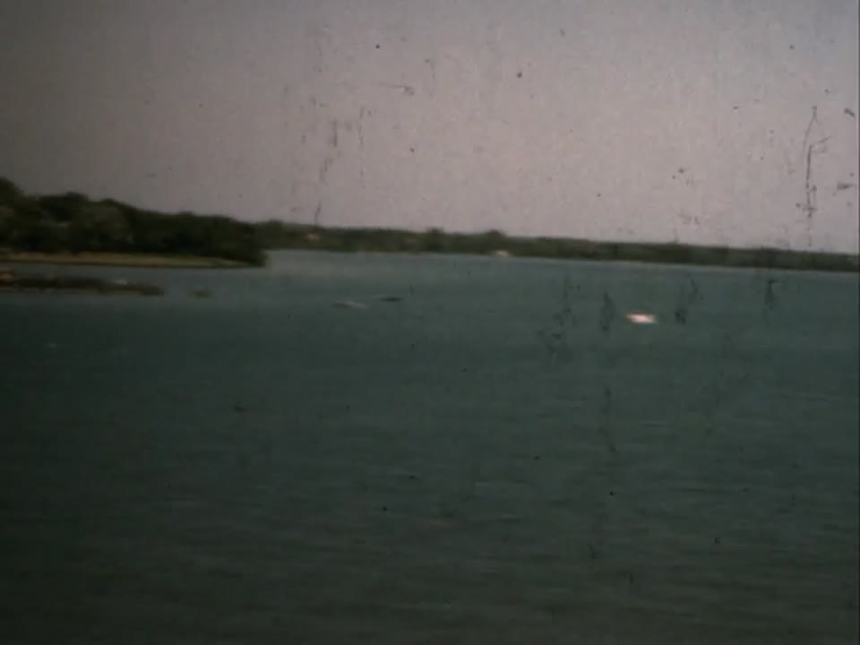 Home Movie: 97156: Unidentified