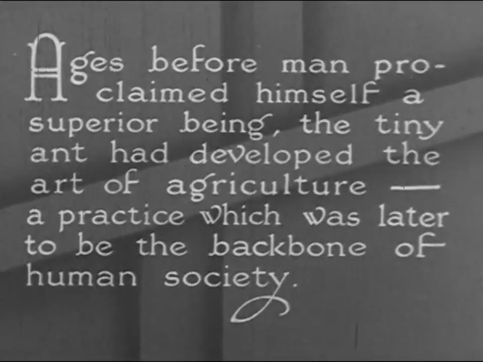 Underground Farmers