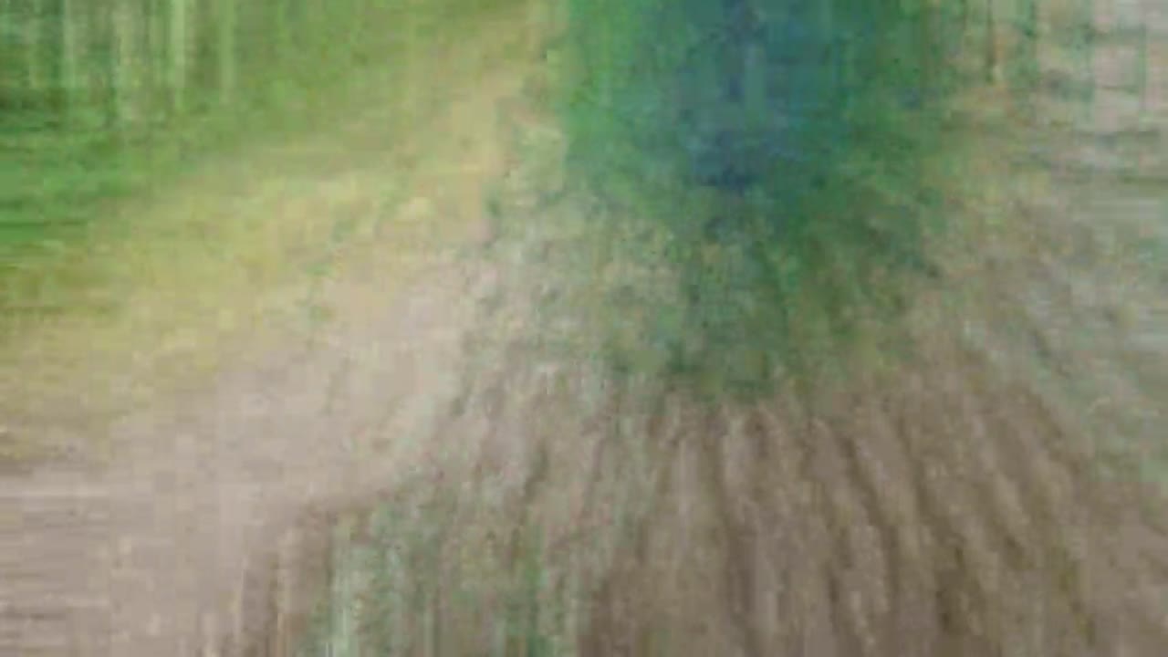 Crow Fragment 01