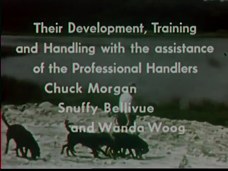 Retrievers at Work