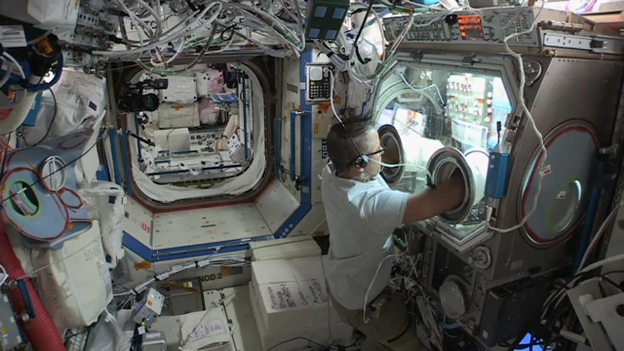 ISS-Downlink-Video_Acaba-Synthetic-Bone-Biocells-Fixation_HD-DL-5_2017_355_1027_597836.mxf