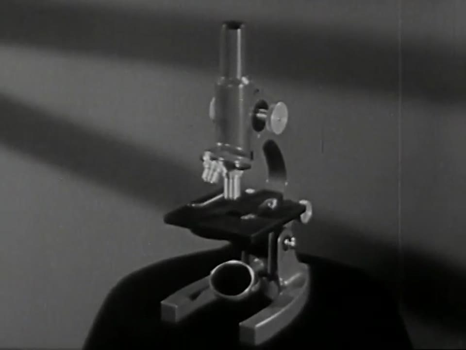 Microscope and Its Uses, The