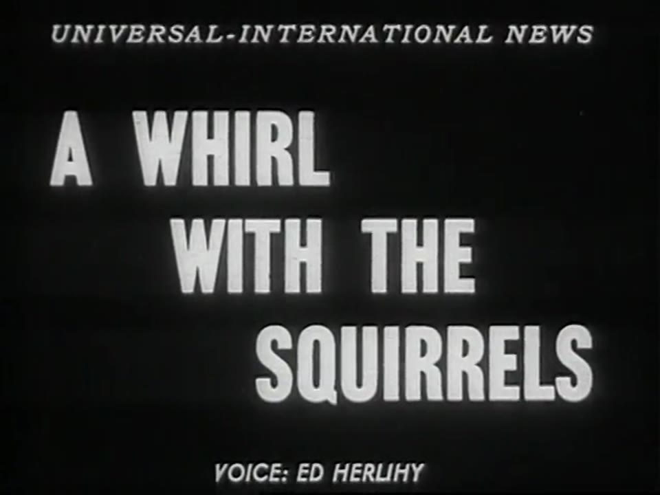 [Whirl with the Squirrels, A]