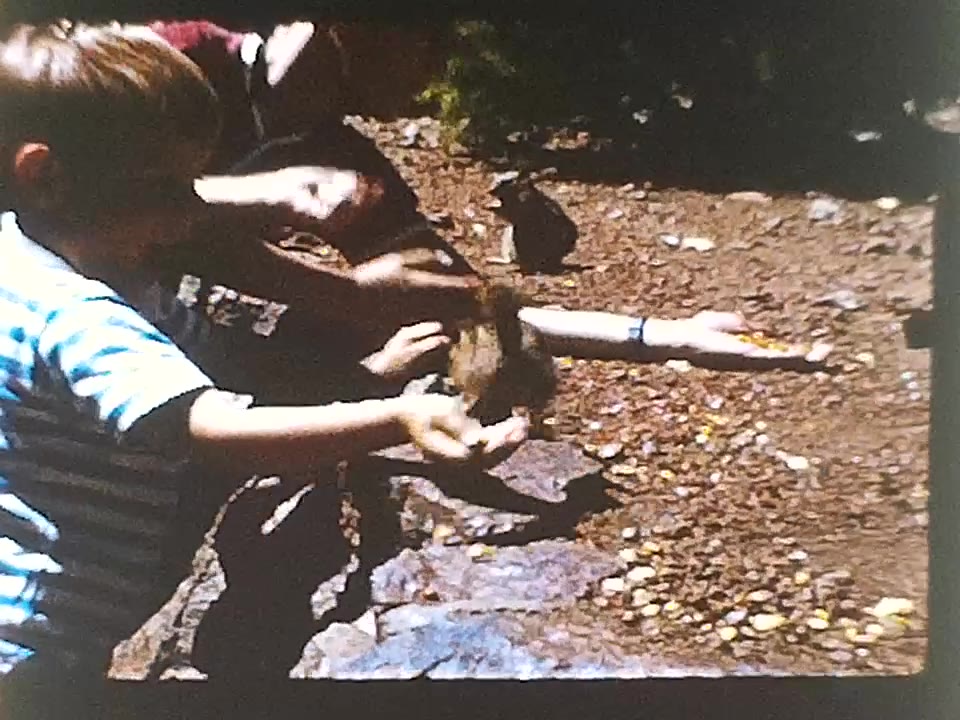 People and nature 1960s