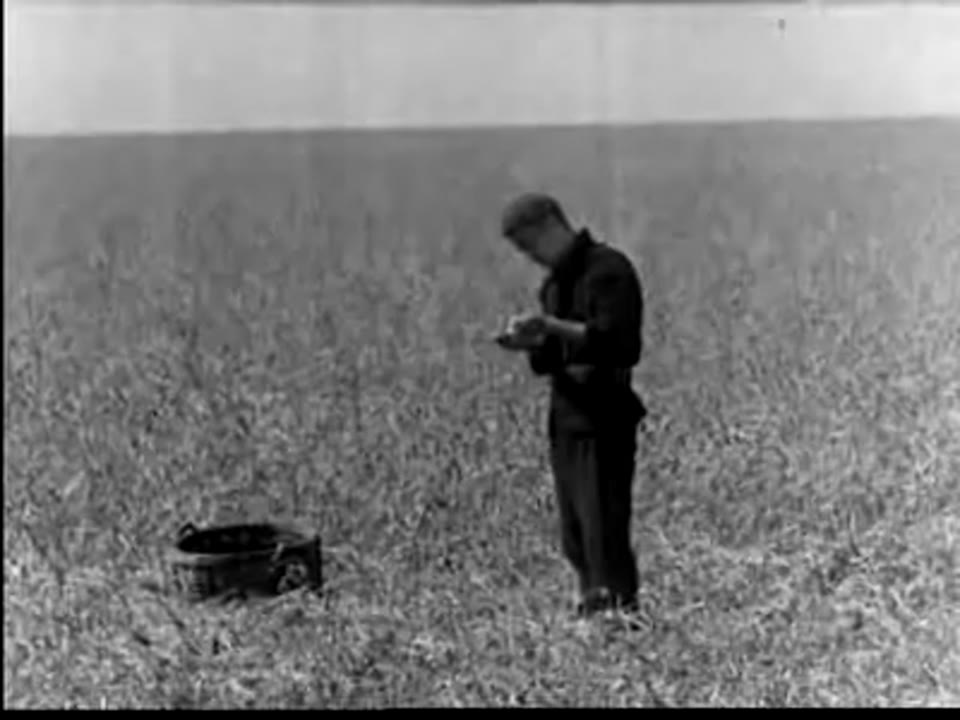 Science and Agriculture (The Soybean)