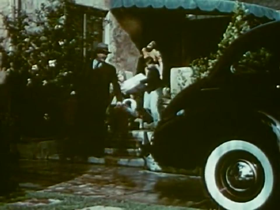 Trip, The