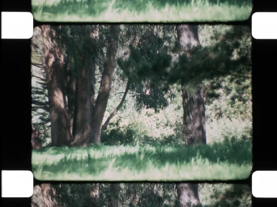 John Schmidt Collection: Reel 01
