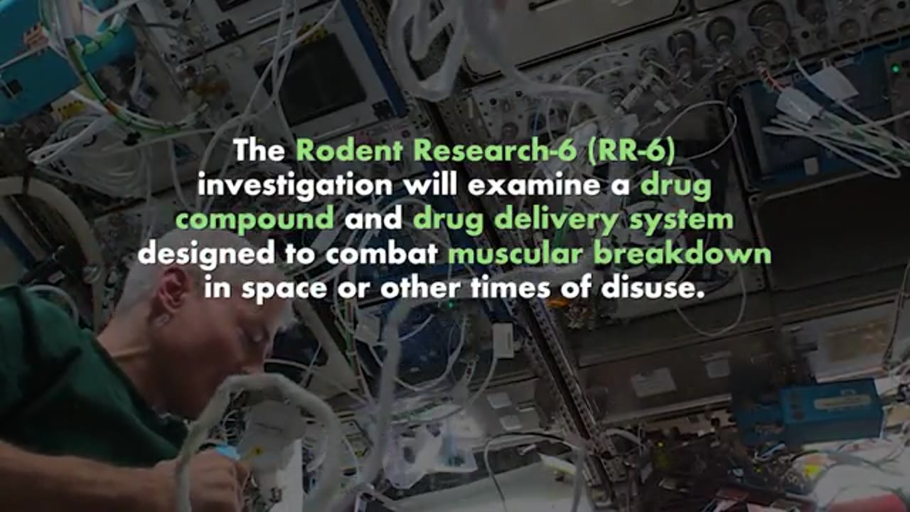 Putting the Brakes on Muscle Breakdown