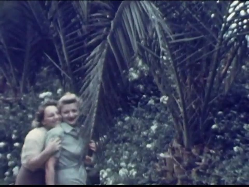 [Home Movies: X-Country, 1938, No. 3]