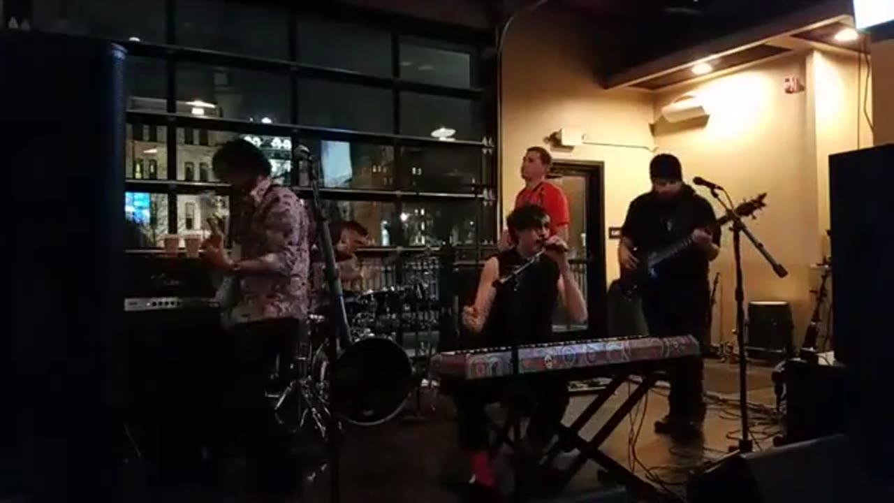 Will Wood and the Tapeworms live at Levels Bar & Grill