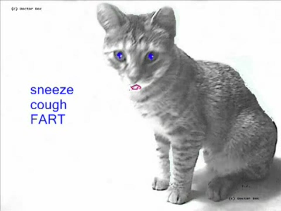 Sneeze, Cough, FART