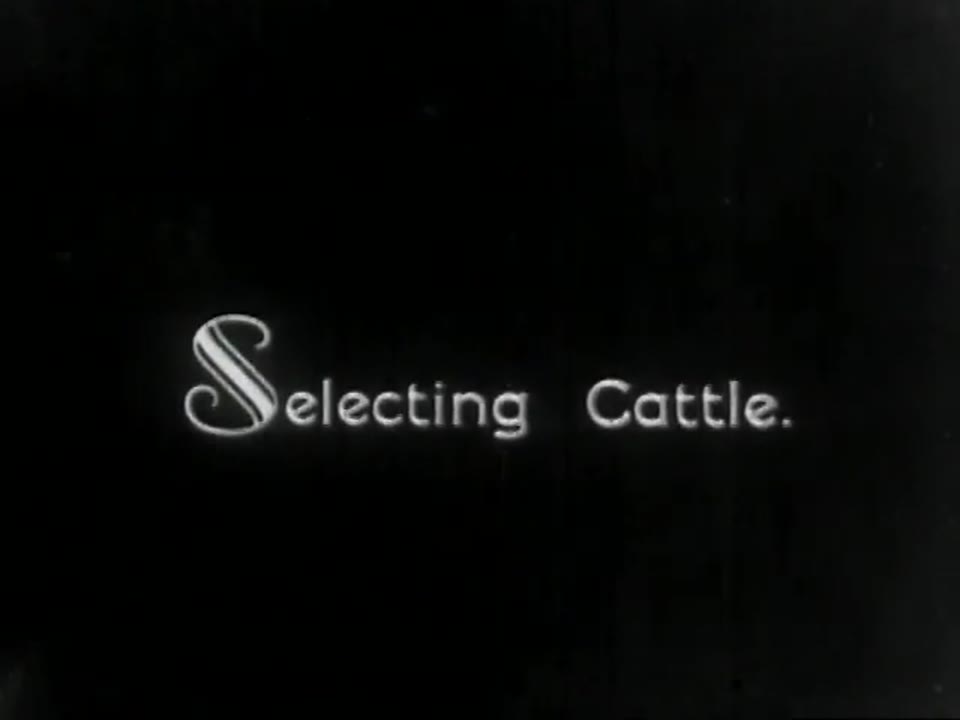 Story of Selecting Kosher Meat Products for Their Stores, The