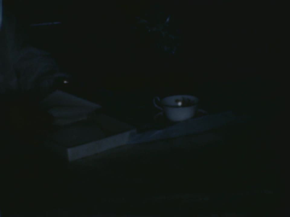Home Movie: 71102: Detroit Family