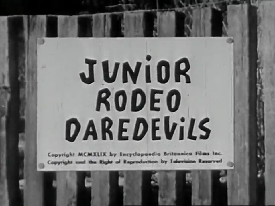 Junior Rodeo Daredevils