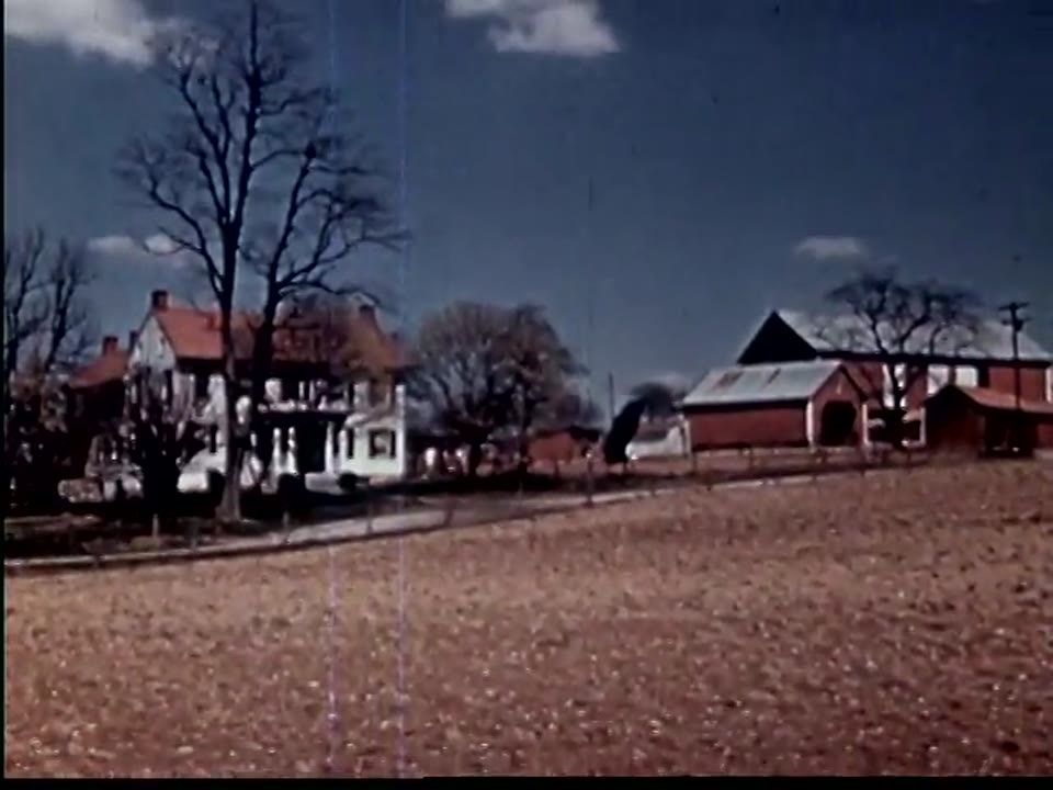 Victory Gardens