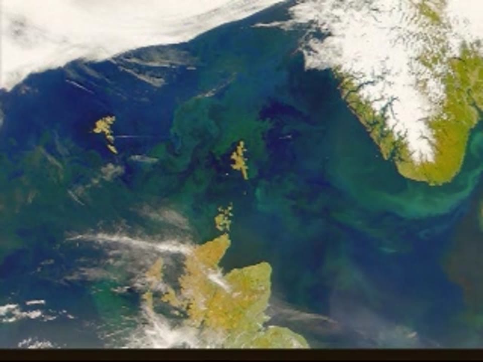 North Atlantic Phytoplankton Bloom