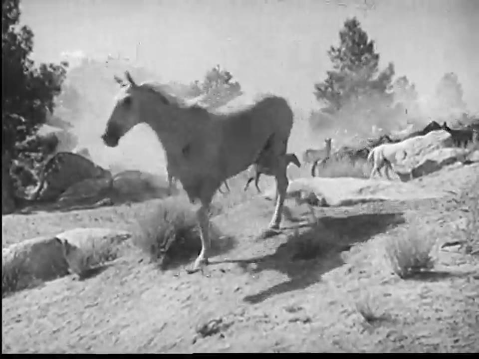 Horsepower