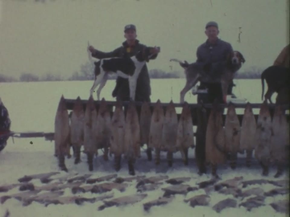 Home Movie: 98342: Coon Hunting