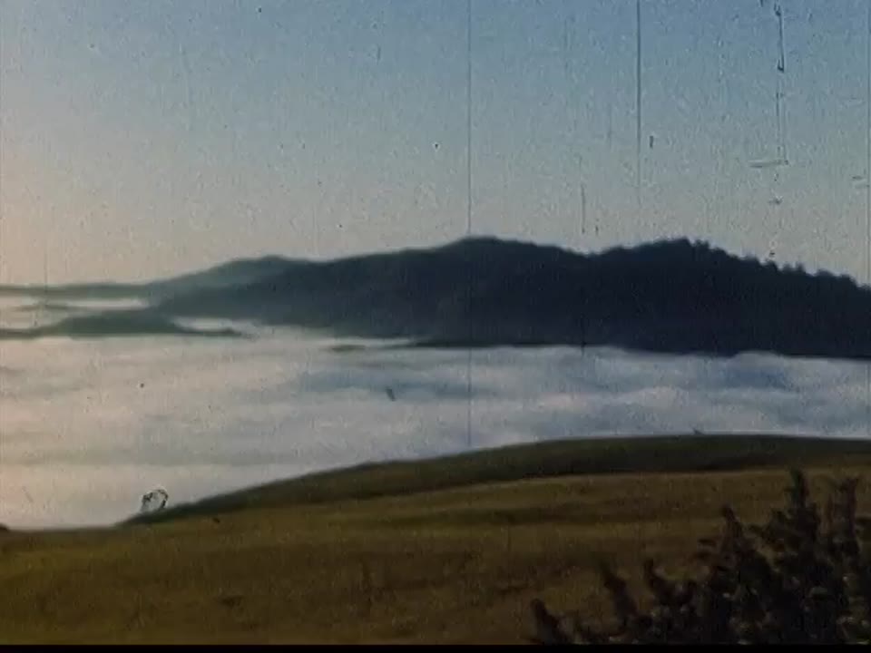 [Home Movies: Can 10889: San Francisco]