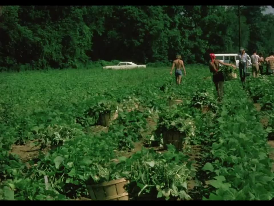 Home movie: 000429: 1970s California hippie farmers