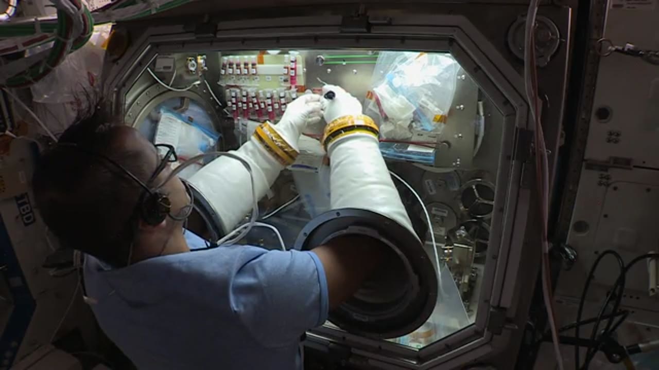 ISS-Downlink-Video_Acaba-Synthetic-Bone-Biocells-Media-Ops_HD-DL-2_2017_363_1145_600955.mxf