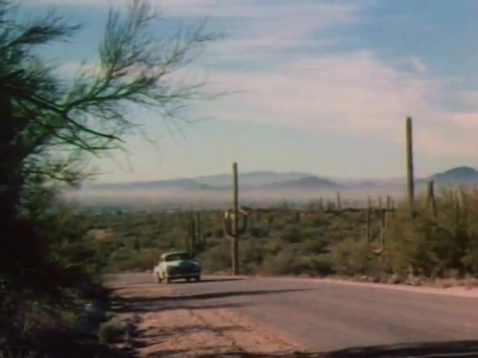 Roads to Romance: The Santa Cruz Trail and Land of the Giant Cactus