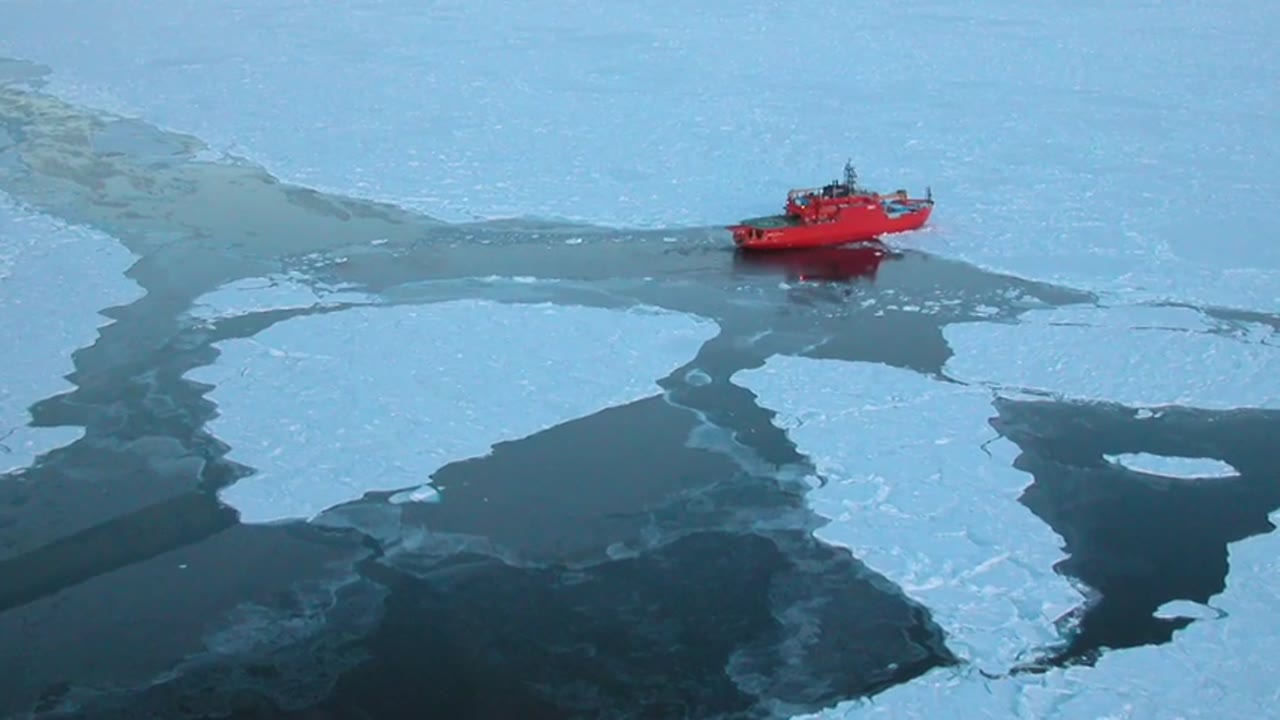 Sea Ice 2008