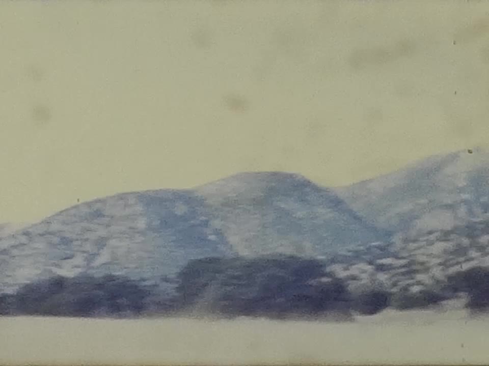 Driving 1960s