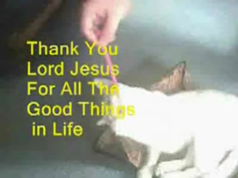 Good Things in Life