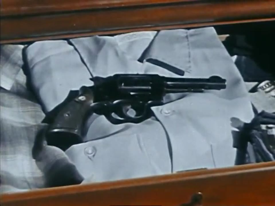 Loaded Gun, The