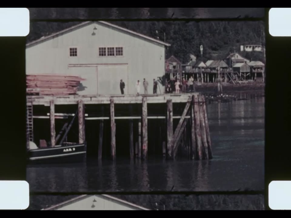 Home Movie: 010174 (My Alaska Cruise, Reel 2)