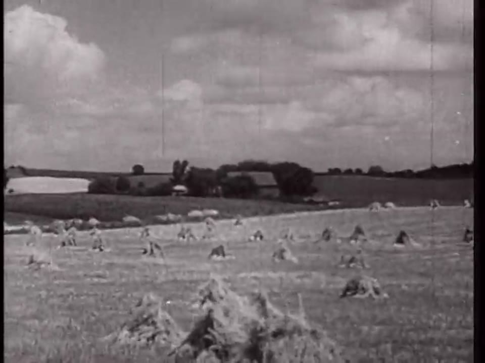 What You Should Know About Biological Warfare
