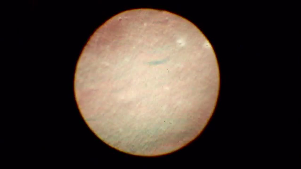 APOLLO 12 16MM ONBOARD FILM