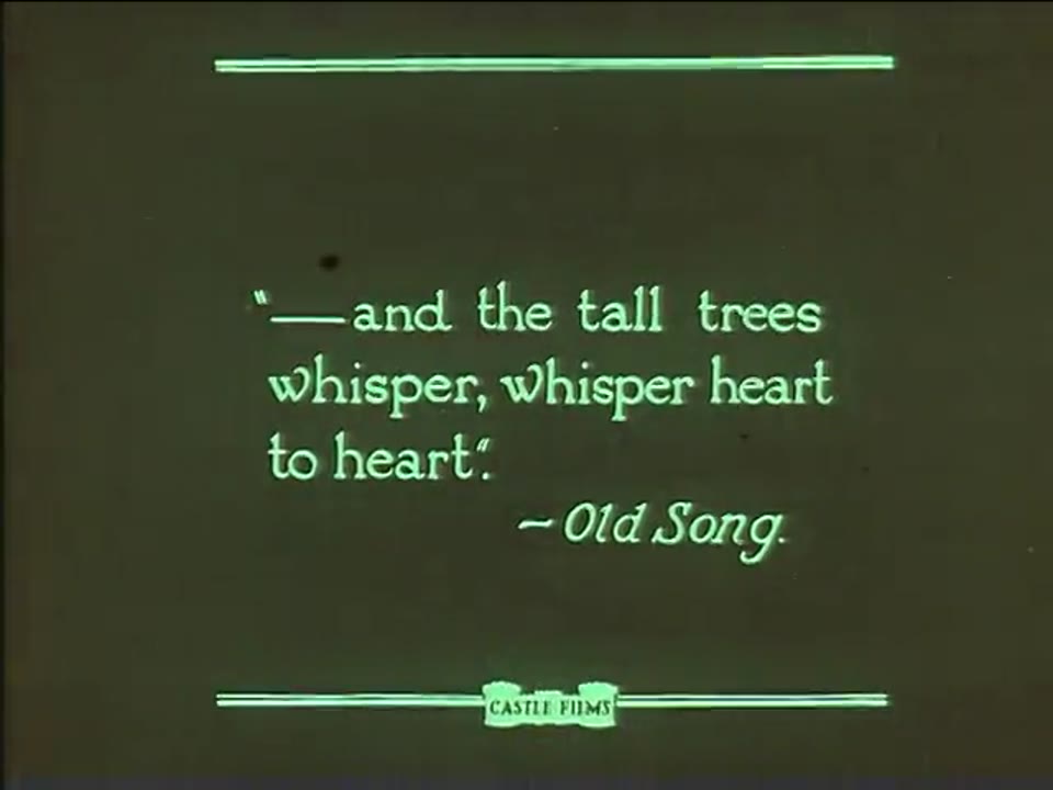Trees