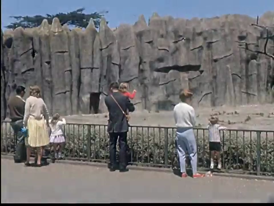 Vista Stock Shots: Birds and Animals, Zoo