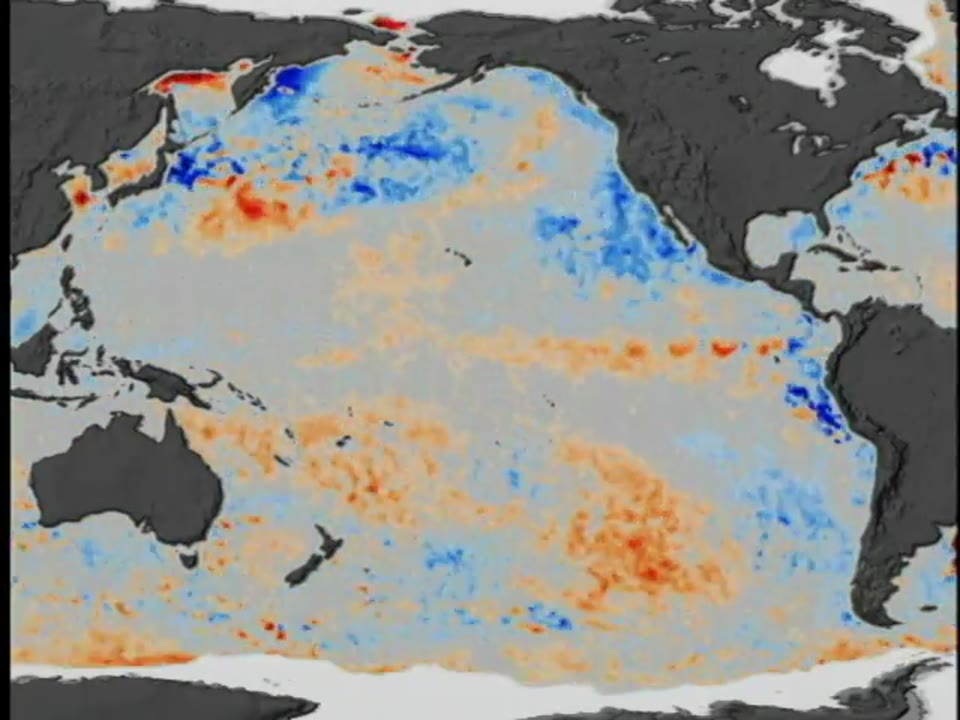 Sea Surface Temperature Anomalies