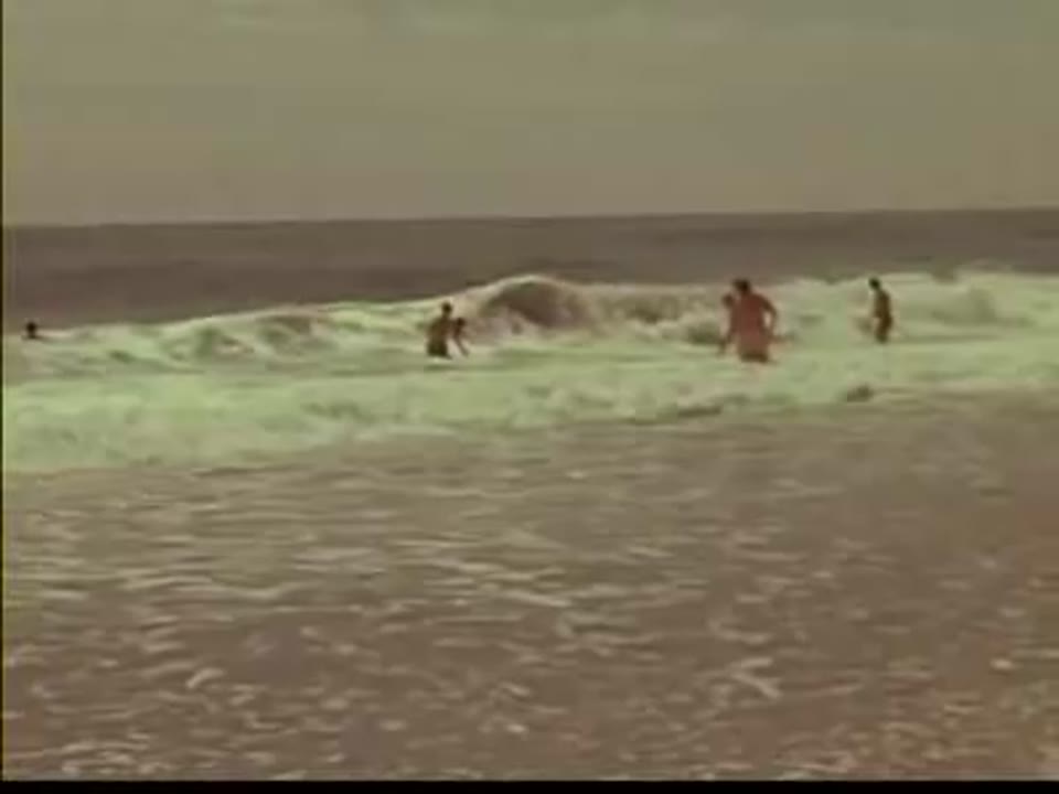 [Home Movies: Rehoboth 1976]