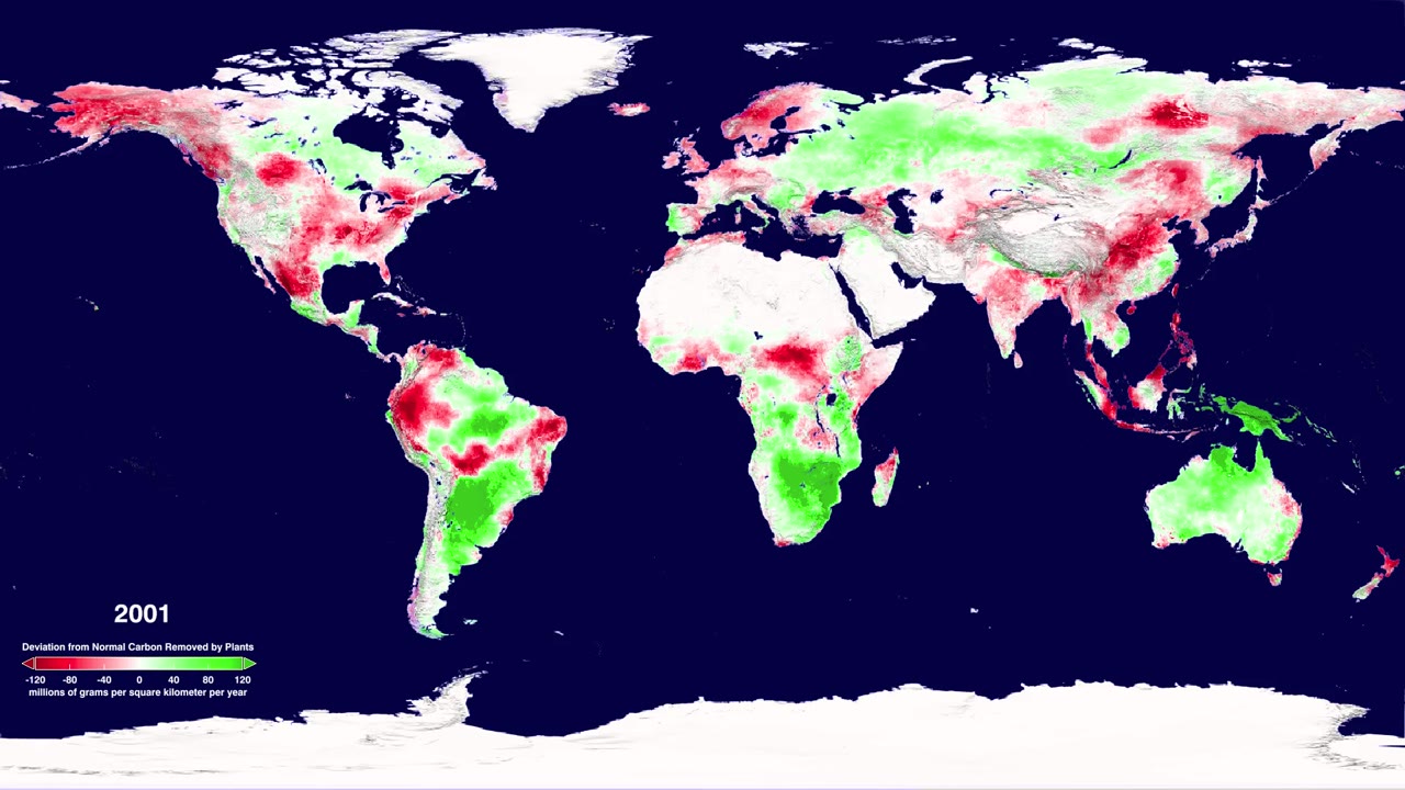 How has the Atmospheric Carbon Uptake from Plants Changed in the Last Decade?