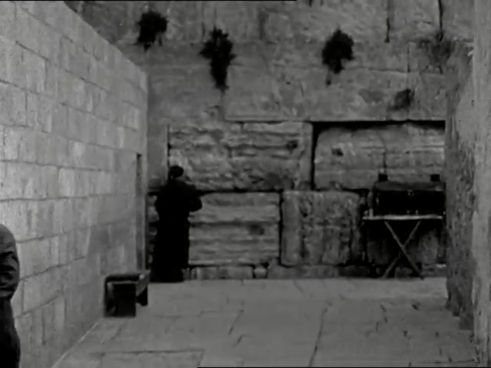 [Home Movies: The Holy Land]
