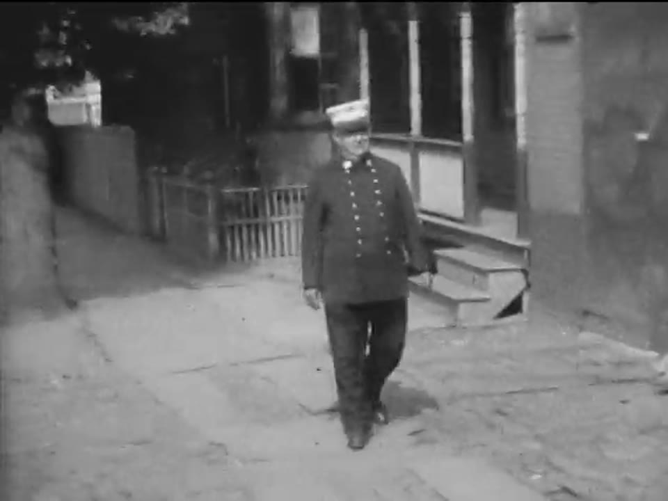 Stillman Fires Collection: FDNY Chief Officers