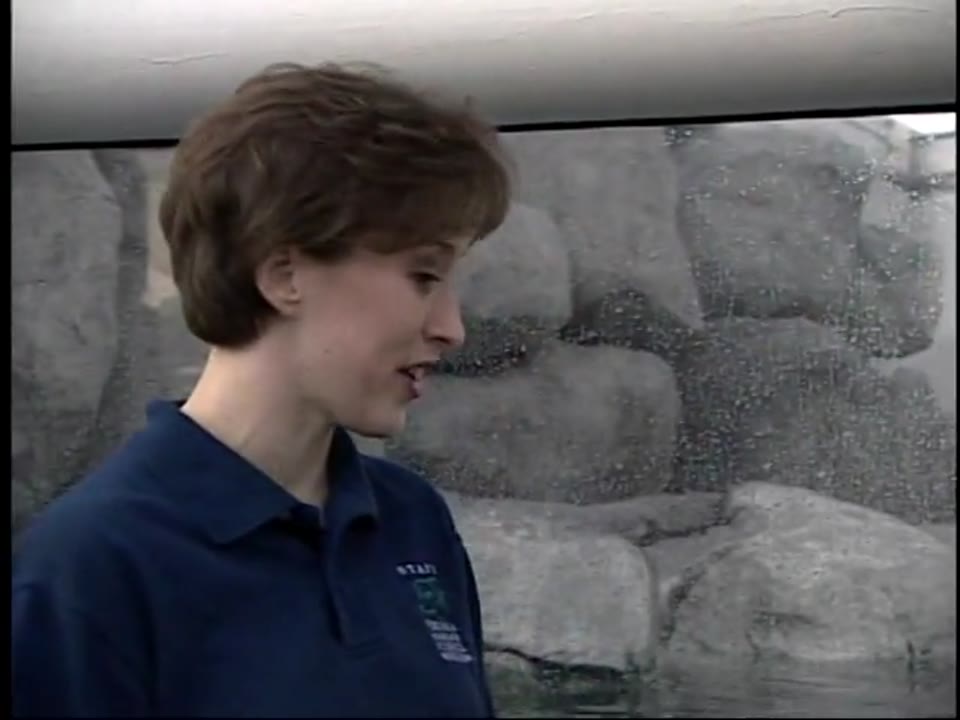 NASA SCI Files - Shark Nose and Underwater Smell