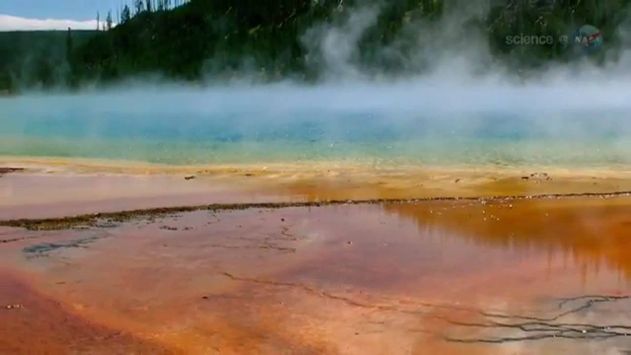 ScienceCasts: Stellar Extremophiles