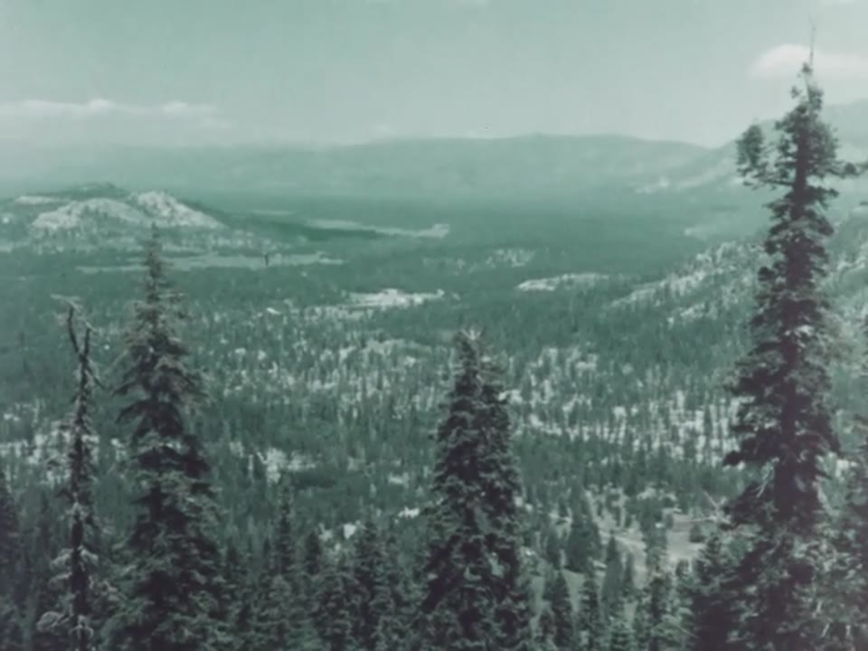 The Road to Hangtown