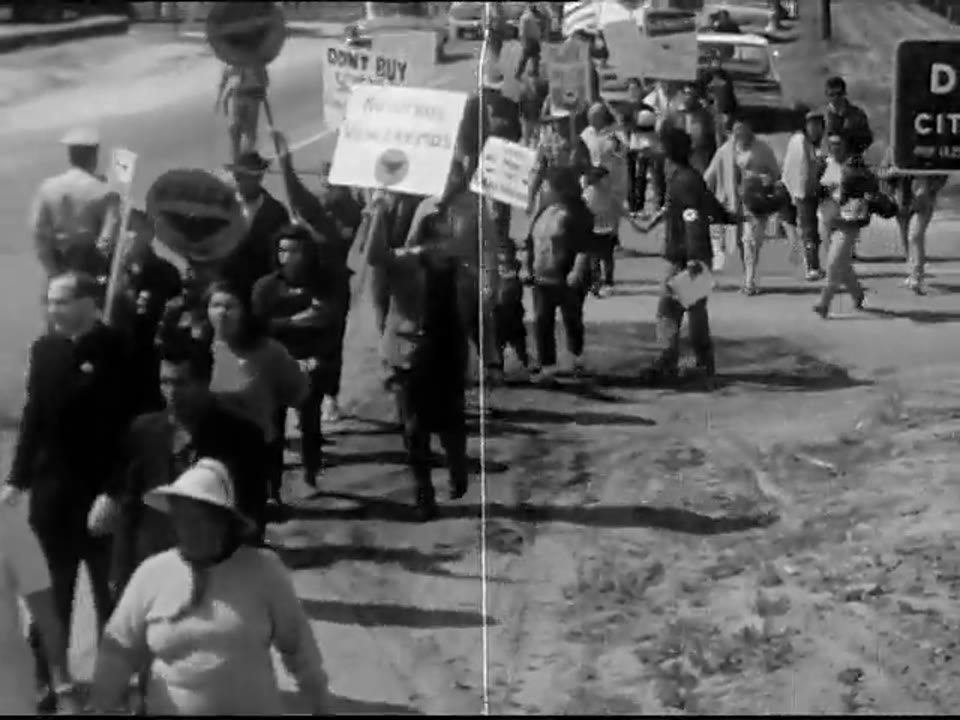 Land Is Rich, The