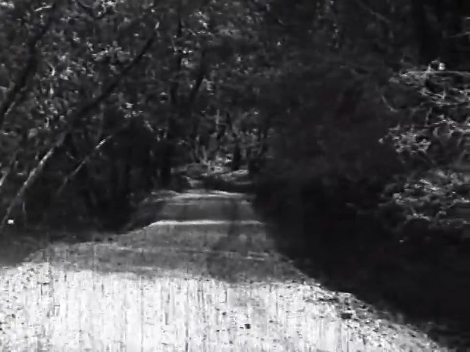 [Redwood Estates Promotional Film]