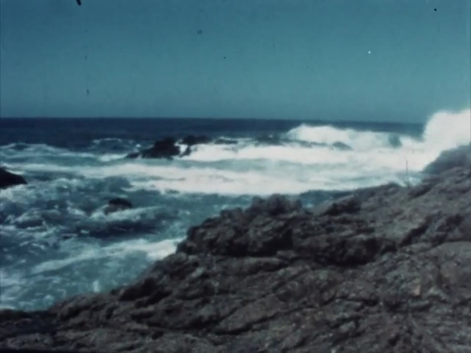 The Open Sea